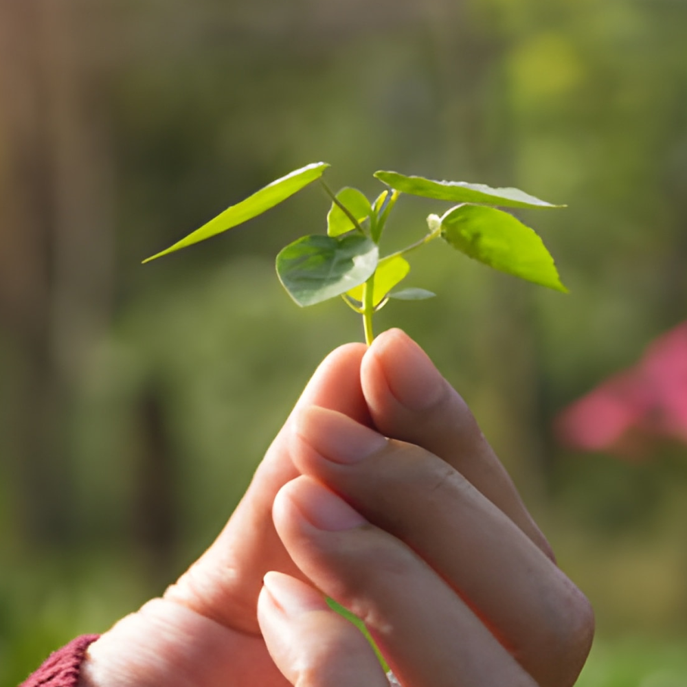 Imagén-6-jardines-del-edén